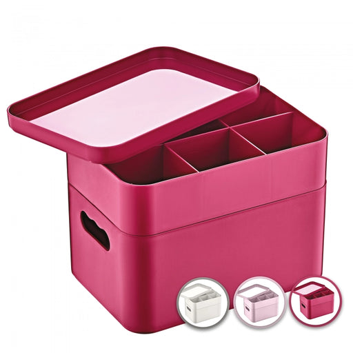 Herzberg HG-OKY676: 2 Layer Multipurpose Organizer Box - Shopperllo